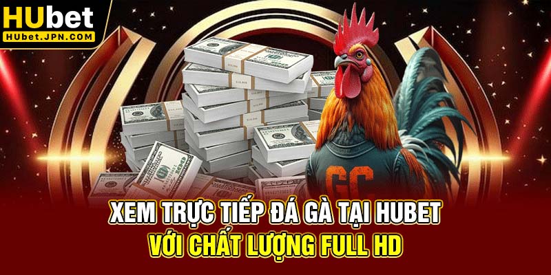 Xem trực tiếp đá gà tại Hubet với chất lượng full HD